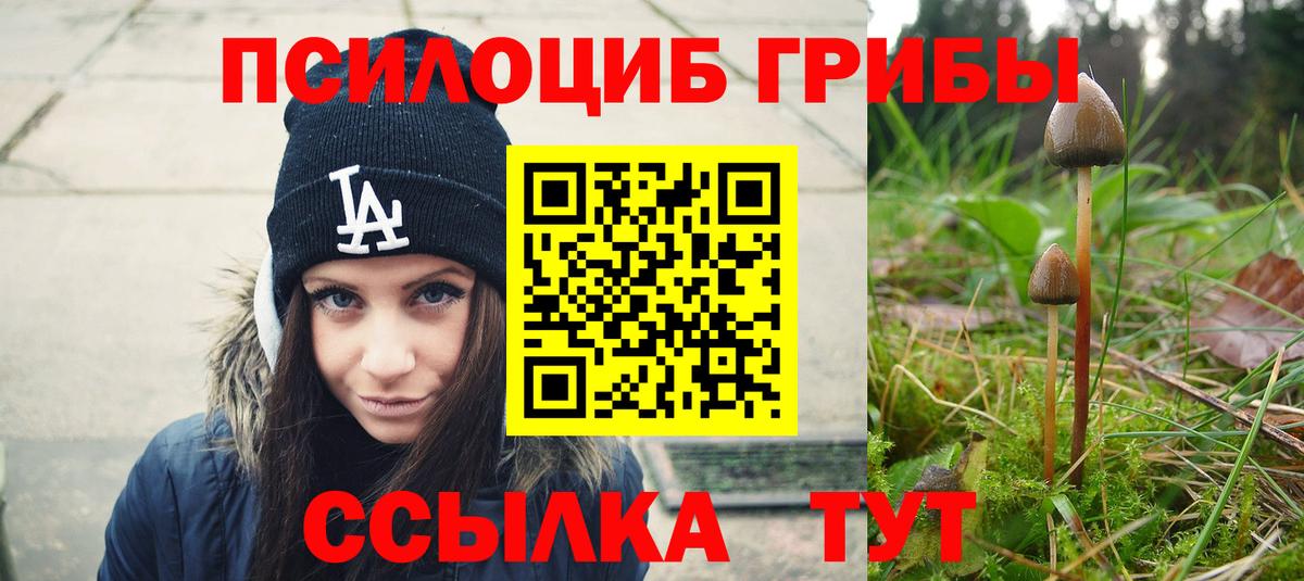 Псилоцибиновые грибы ЛСД  Вход с VPN  Галлюциногенные грибы мицелий  Нижнекамск 